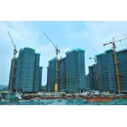 塔吊租賃凱德思達,塔吊租賃規(guī)格,滄州塔吊租賃