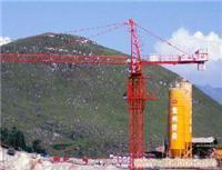 貴陽塔吊出租服務——重慶中建機械制造（貴州、云南片區(qū)）專業(yè)塔機租賃