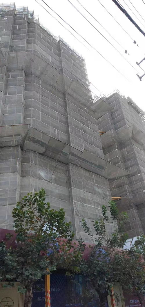 建筑建材企業(yè)商情 洞察市場脈搏，把握發(fā)展機(jī)遇